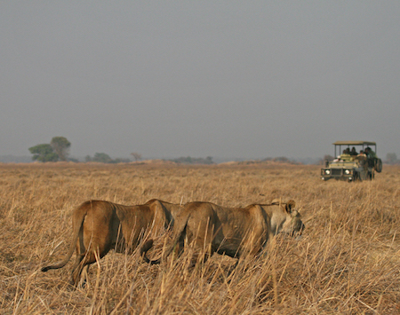 Le parc national de Kafue