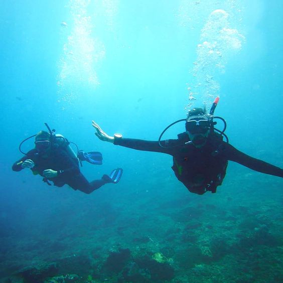 De la Bali Plongée Sous Marine pour les plongeurs débutants et expérimentés