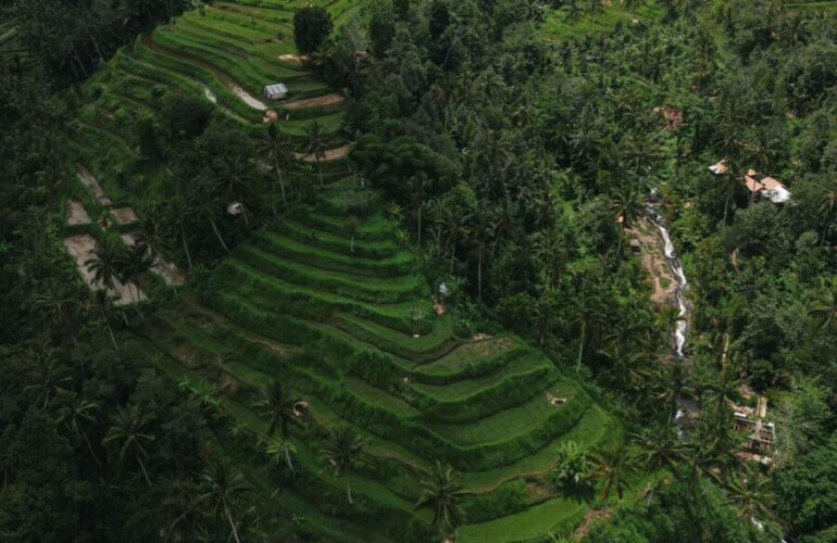 Propriété à Bali
